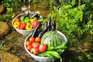 樋から滴る水に夏野菜を浸す写真