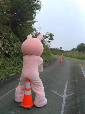待ち構えるウサヒ