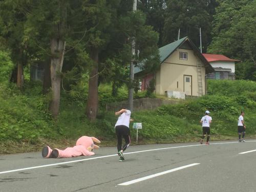 バテたウサヒ