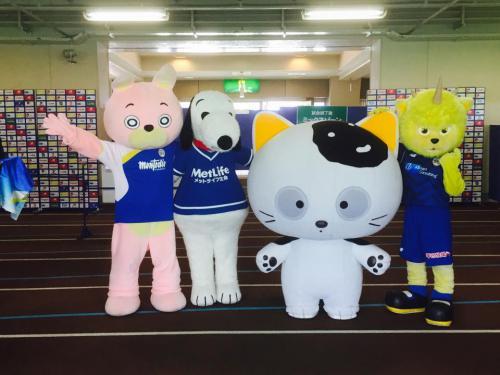 色んなキャラクターとウサヒ