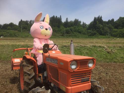 ウサヒと赤いトラクター