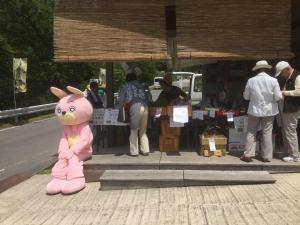 公園にいるウサヒ