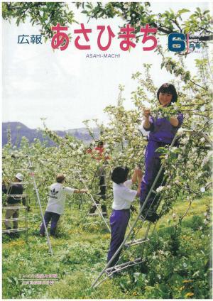 平成7年6月号の表紙