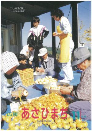 平成7年11月号の表紙