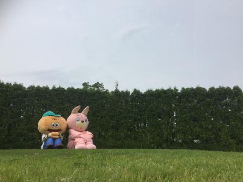 ウサヒ、ひのじゃがくん