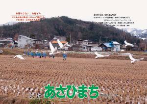 (写真)お帰りなさい 白鳥さん 今年も白鳥の飛来にはしゃぐ園児たち(12月9日;大谷地内の水田)