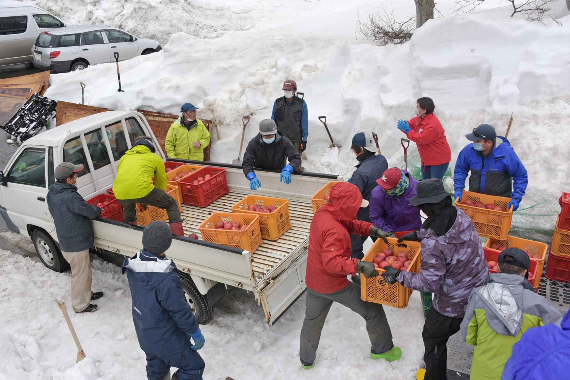 雪りんごを軽トラックに運び出す生産者たち