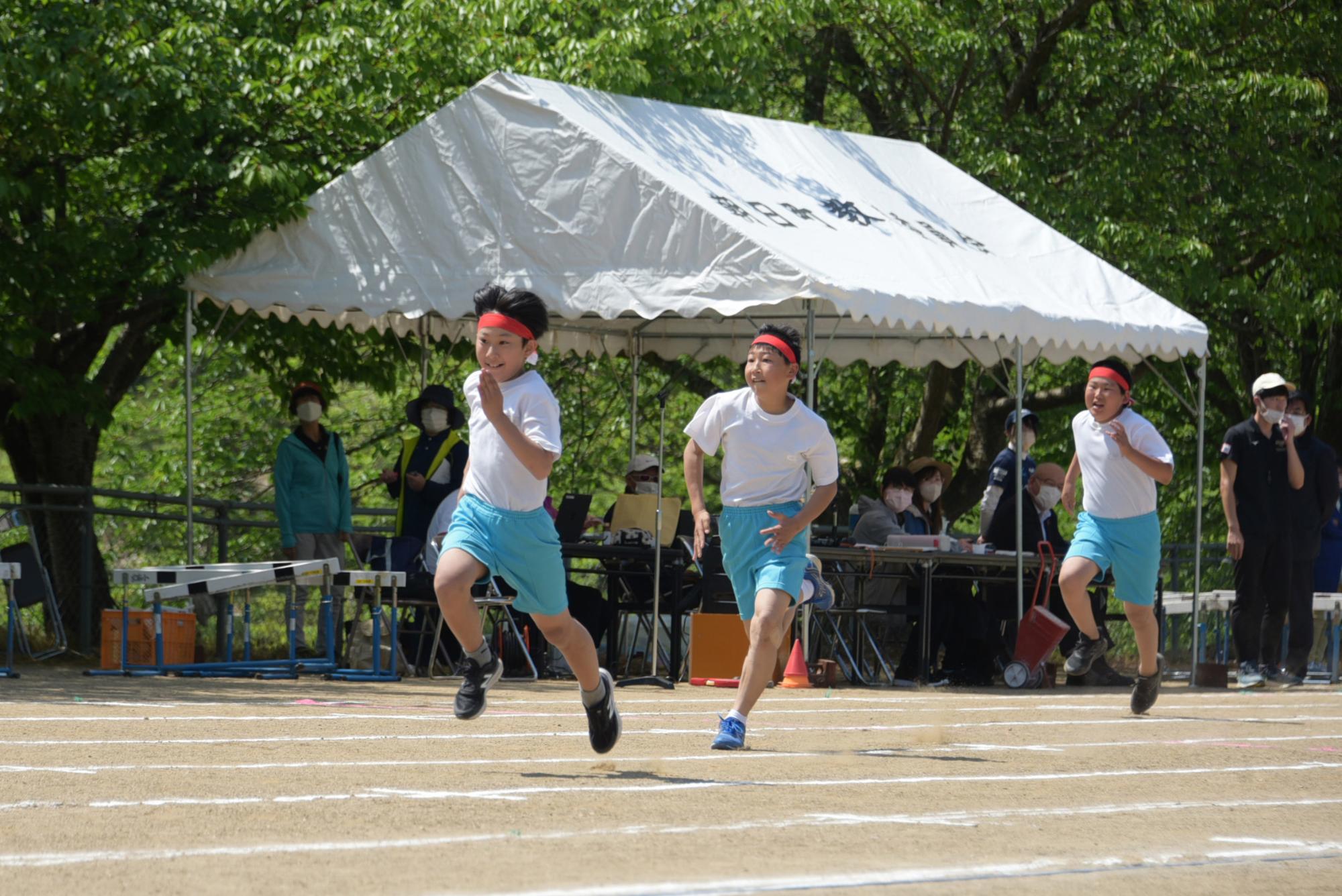 男子短距離走の様子