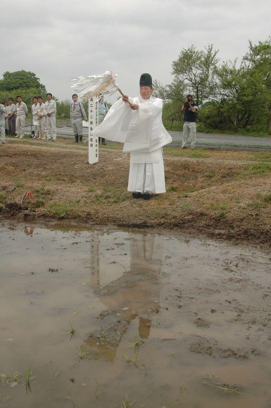 04.jpg