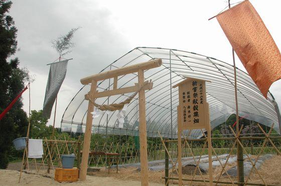 09.jpg