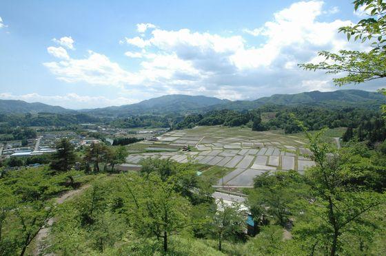 一本松公園の頂上からの棚田と山々の写真