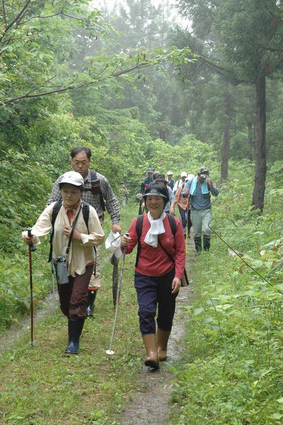 高田山ブナの森探索会の様子の写真1
