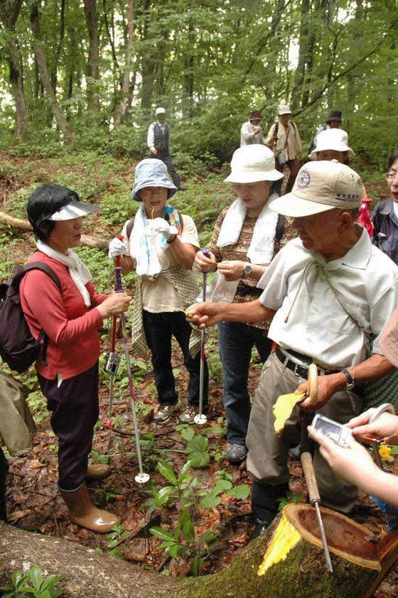 高田山ブナの森探索会の様子の写真4