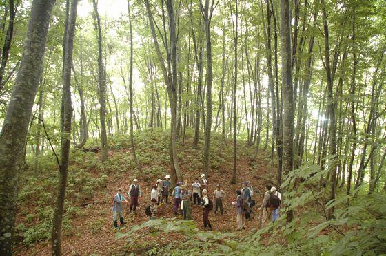 高田山ブナの森探索会の様子の写真5