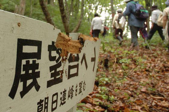 熊の爪痕が残る立て看板の写真
