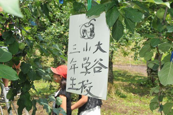 05.jpg