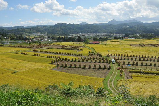 椹平の棚田の写真1