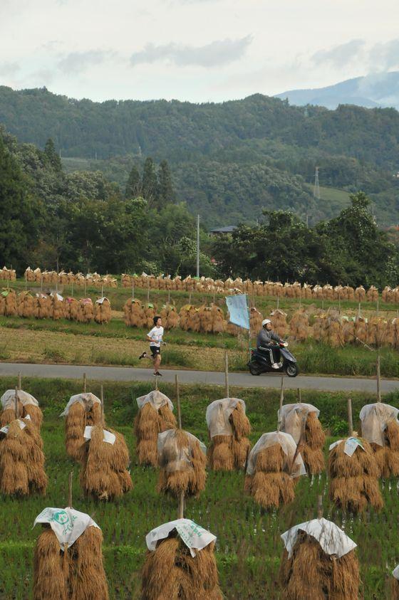 スクーターに先導されて農村風景を駆け抜ける9区の選手の写真