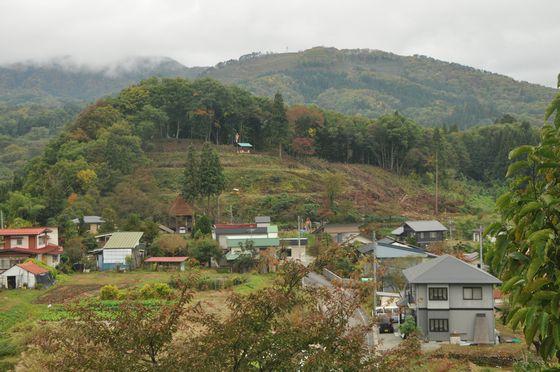 19.jpg
