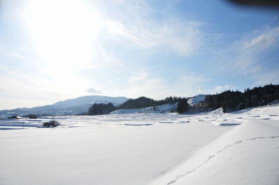 北側の「すそ」部分から見た棚田の写真