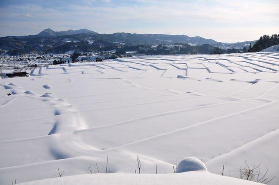 椹平の棚田を別の角度から撮影した写真