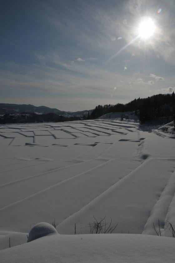 趣を変えて椹平の棚田を撮影した写真