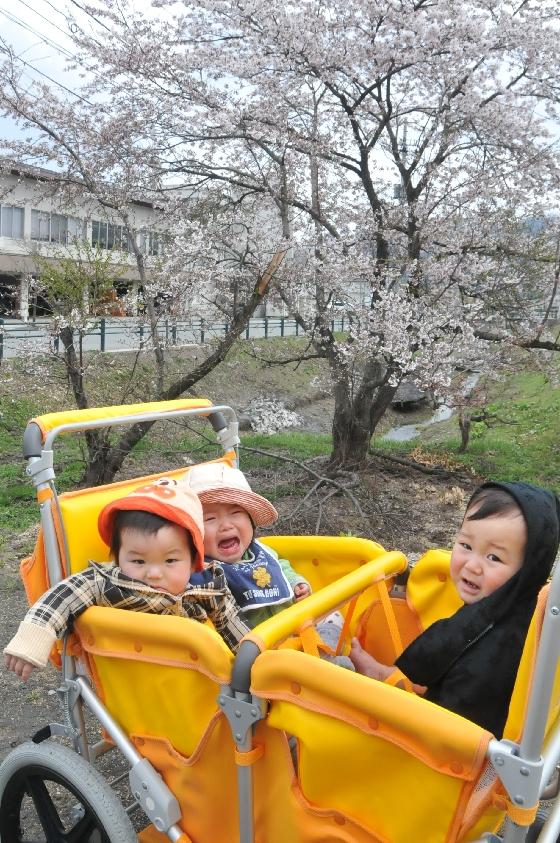 カートに乗って登場した0歳児の写真