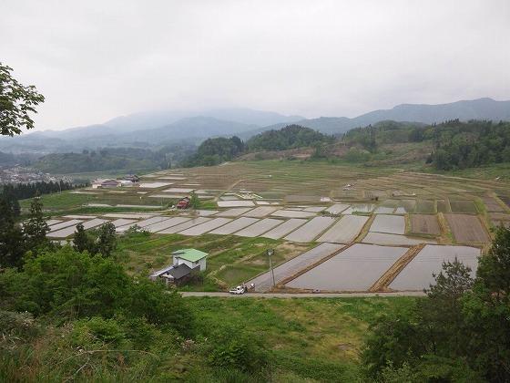 椹平の棚田の写真