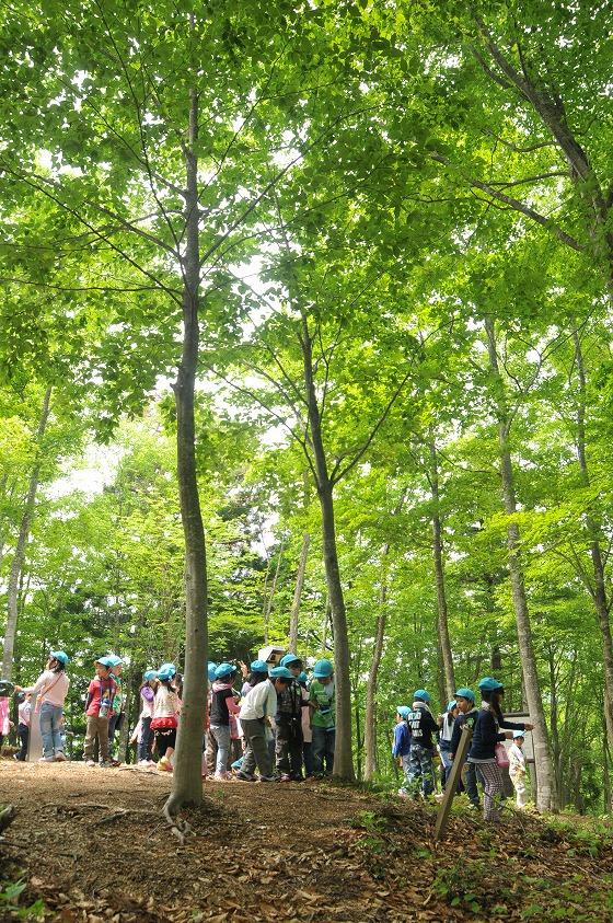 「あさひっこ探検」の様子の写真5