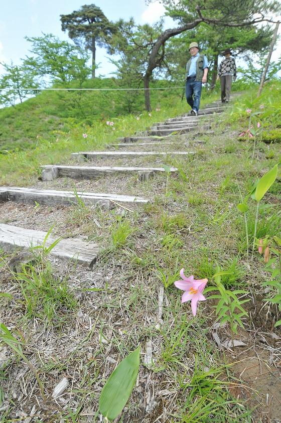 数人が散策を楽しんでいる様子の写真
