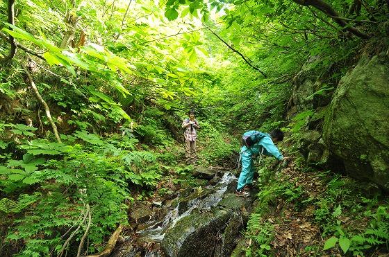 朝日山岳会による朝日連峰登山の様子の写真5