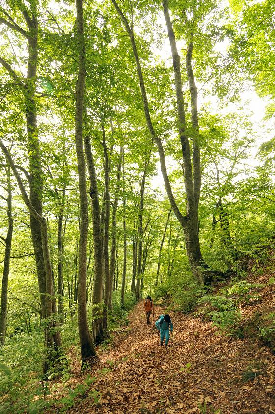 朝日山岳会による朝日連峰登山の様子の写真6