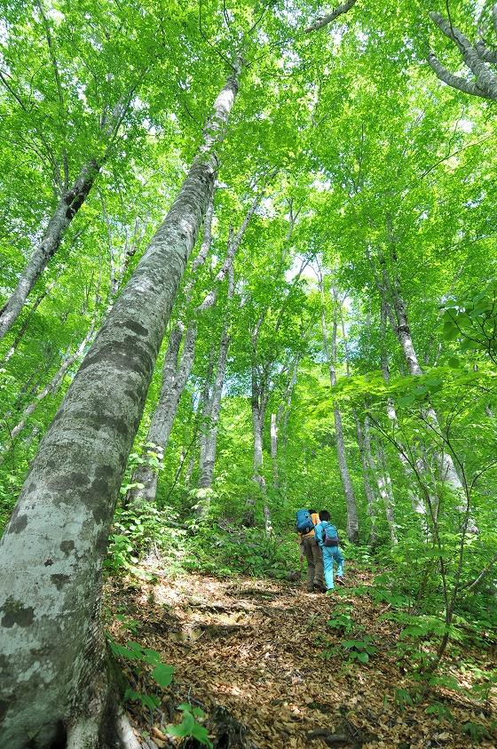 朝日山岳会による朝日連峰登山の様子の写真9