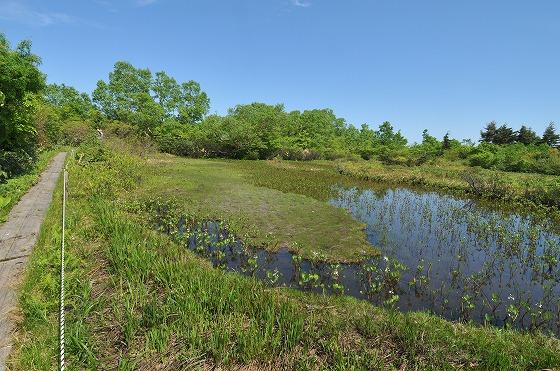鳥原山を目指す町広報の様子の写真1