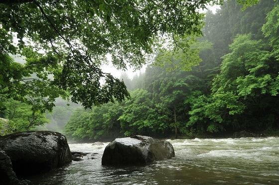 朝日川の写真2