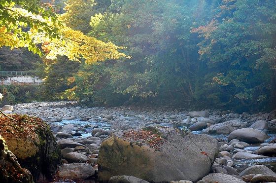 10月下旬頃の朝日川の写真1