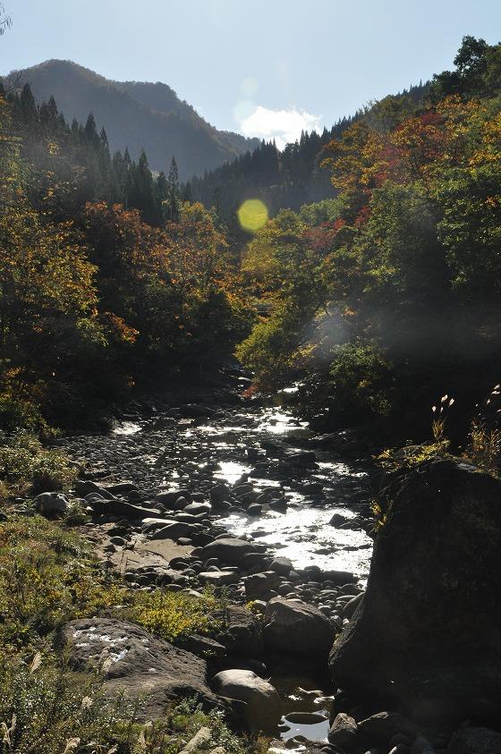 10月下旬頃の朝日川の写真2