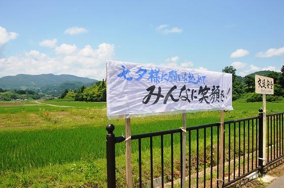 飾りつけの様子の写真16