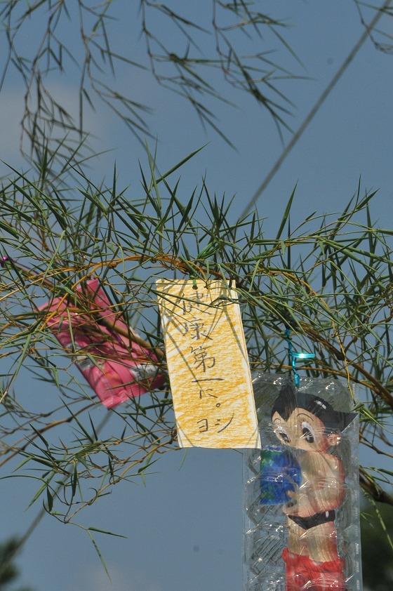 飾りつけの様子の写真17