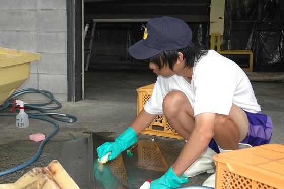 有限会社朝日町ワインでの仕事体験の様子の写真