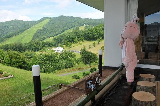 冷やし足湯の写真4