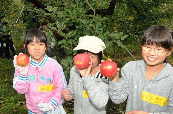 赤いりんごにくっきりと名前が浮かんでいる様子の写真