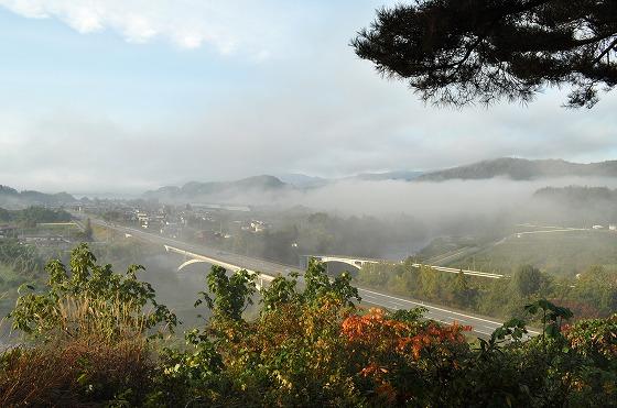 新旧2つの明鏡橋を見渡せる高台の様子の写真