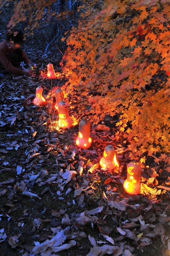 色づいた紅葉の下に並べられたランタンの写真