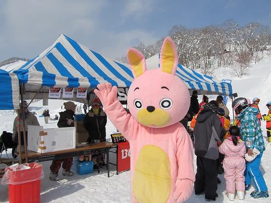 桃色ウサヒの写真