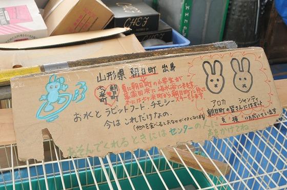 (写真)山形県朝日町出身 アロカ シャンティ
