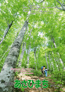 平成23年7月号 晴天の峰をめざし、緑のブナ林を歩く…(6月19日/朝日連峰夏山開き)の写真