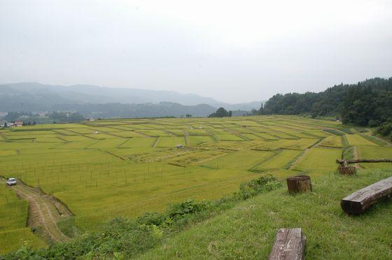 第二展望台から見た棚田の写真