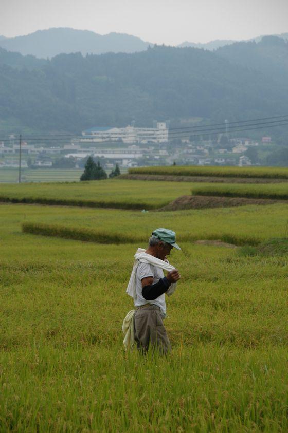 一服中の様子の写真