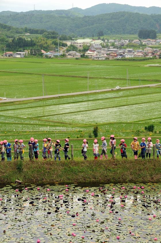 「あさひっこ探検」の様子の写真8